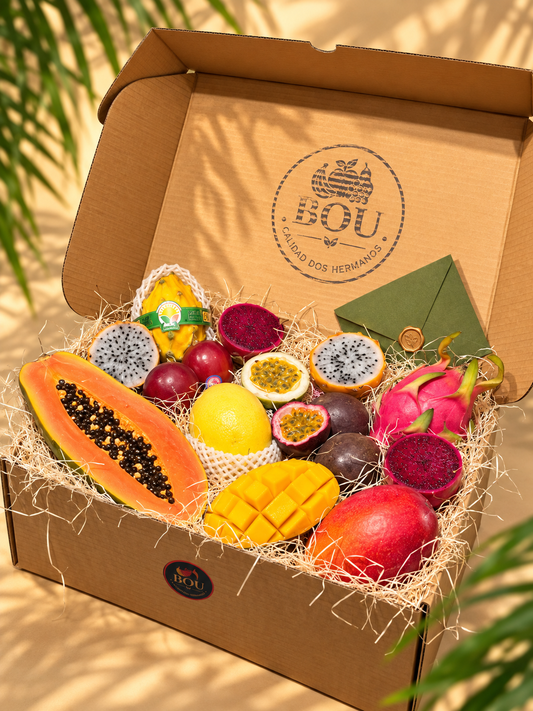 Lote Gourmet