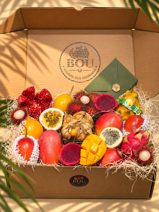 Lote Super Tropical